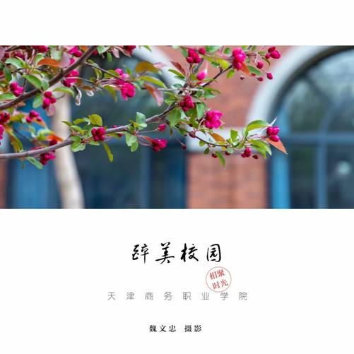 醉美校园-魏文忠老师摄影作品 3