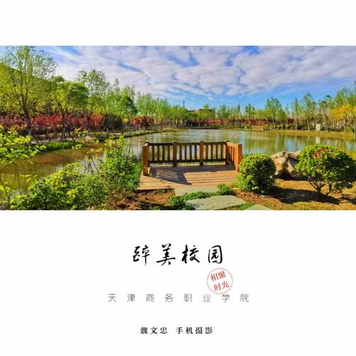 醉美校园-魏文忠老师摄影作品 6