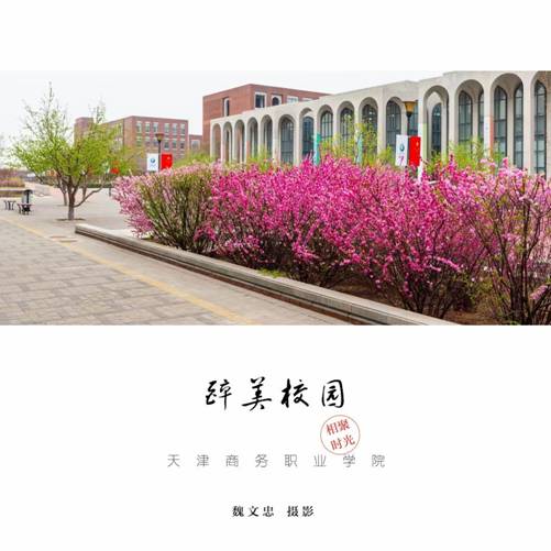 醉美校园-魏文忠老师摄影作品 5