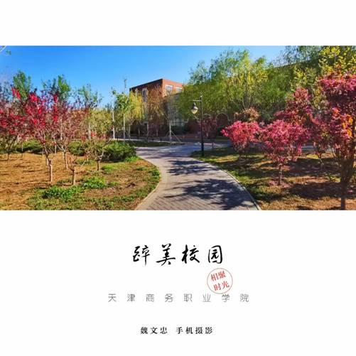 醉美校园-魏文忠老师摄影作品 8