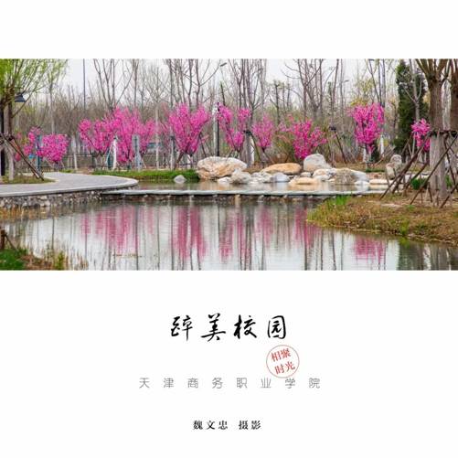 醉美校园-魏文忠老师摄影作品 7