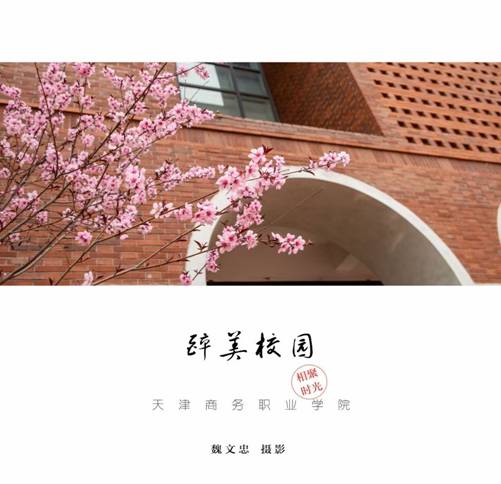 醉美校园-魏文忠老师摄影作品 4