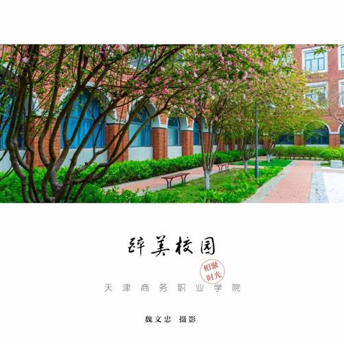醉美校园-魏文忠老师摄影作品 2